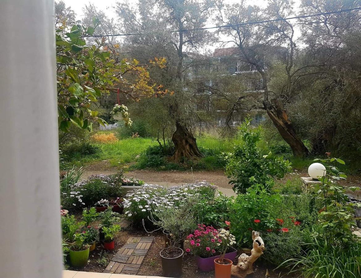 Efi'S Studio Lefkáda Dış mekan fotoğraf