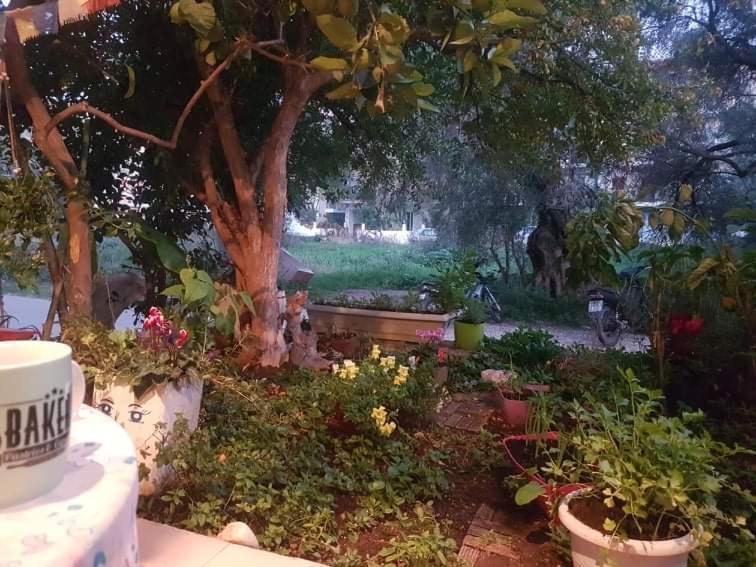Efi'S Studio Lefkáda Dış mekan fotoğraf