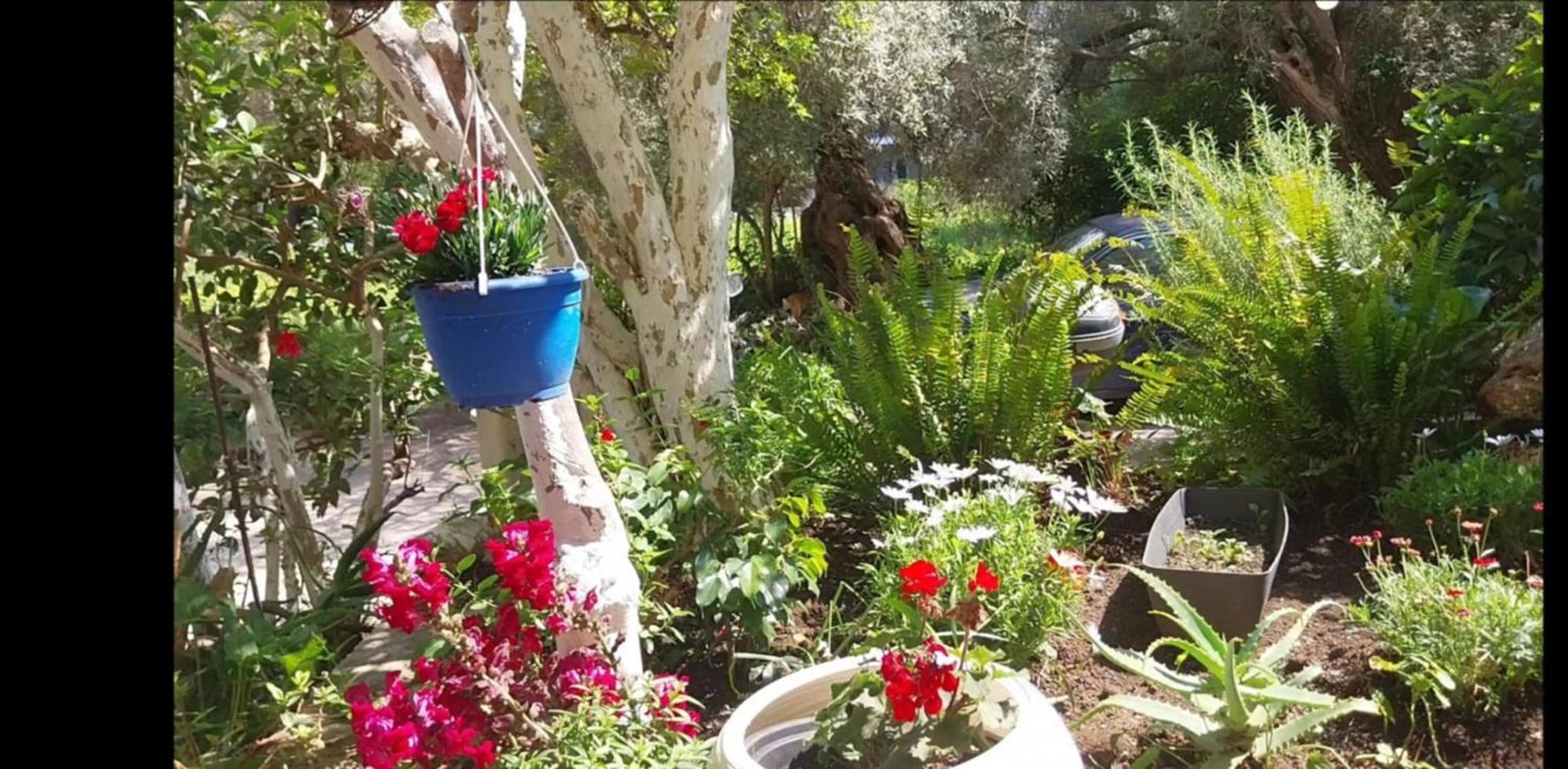 Efi'S Studio Lefkáda Dış mekan fotoğraf