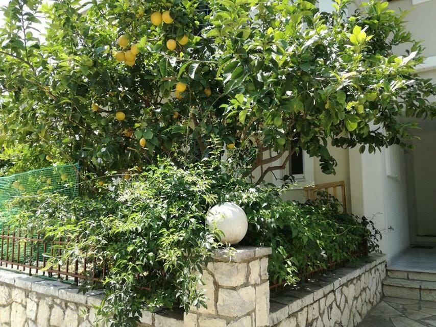Efi'S Studio Lefkáda Dış mekan fotoğraf